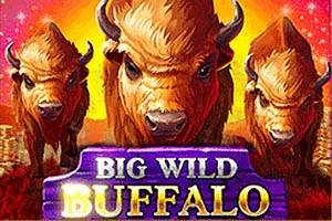 Big Wild Buffalo